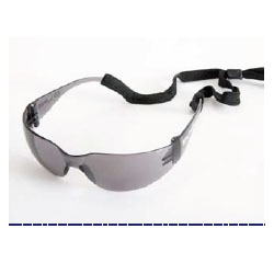 Bolle BL 10CF Safety Glasses